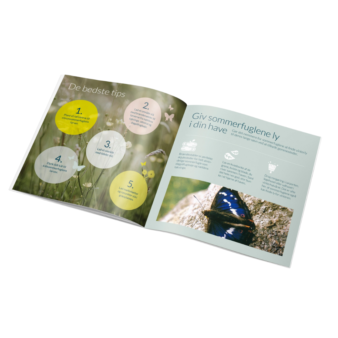 sommerfugleguide (2)